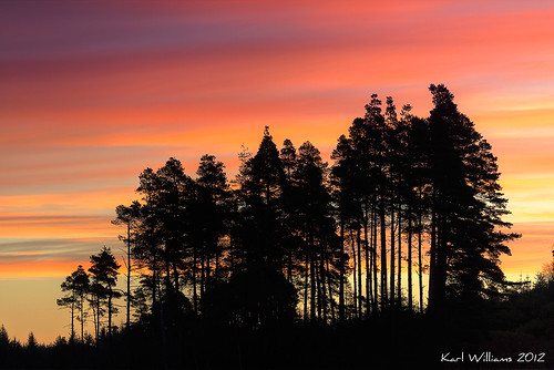 trees sunrise landscape scotland williams silhouettes karl trossachs hdr dukespass zenfolio karlwilliams