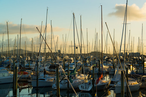 newzealand color sunrise boats still cityscape nz serene recreation yachts profusion westhavenmarina aucklandcbd