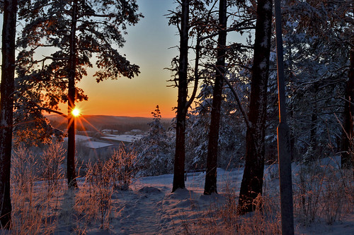 trees winter light sunset sky sun sunlight snow cold nature colors beauty weather suomi finland landscape evening google nikon colorful frost mood view hill atmosphere sunburst rays sunrays scape maisema lunta ilta luonto auringonlasku aurinko nikond3200 iltaaurinko twitter pakkanen d3200 coldsunset