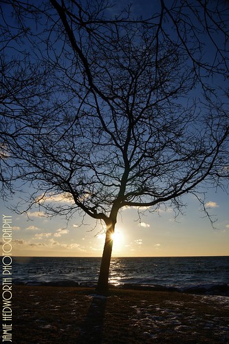 sky ontario canada tree nature water sunrise lakeontario oakville dinglepark jamiehedworthphotography