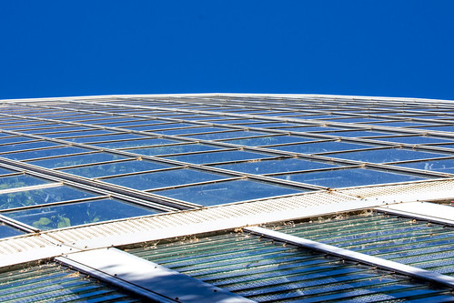 blue windows sky plants glass conservatory bicentennial adelaidebotanicgardens