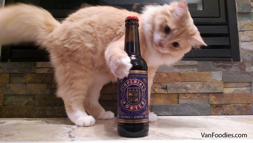 Day 20: Central City Imperial Porter
