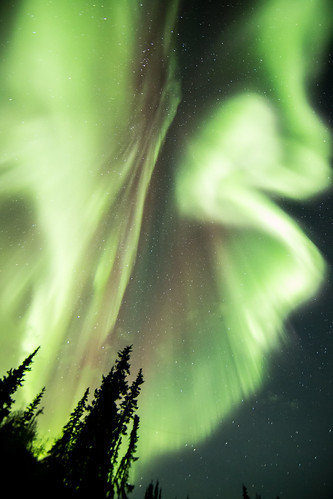 Aurora borealis, Wiseman, AK