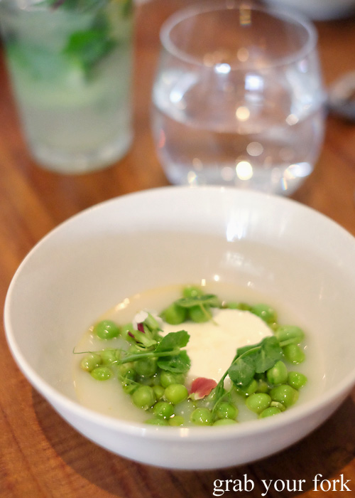 Raw peas and fresh cheese with oyster milk at Biota Dining, Bowral