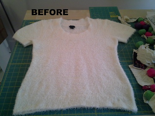 Fuzzy sweater before
