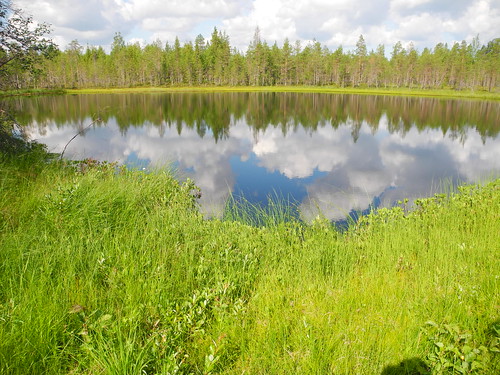 summer lake reflection forest finland geotagged july lapland fin bog lappi 2014 kemijärvi isojärvi 201407 niskalampi 20140719 geo:lat=6643583320 morottajantie geo:lon=2812877655