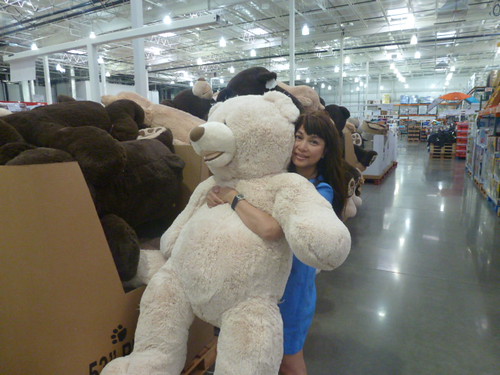 giant teddy bear, Costco
