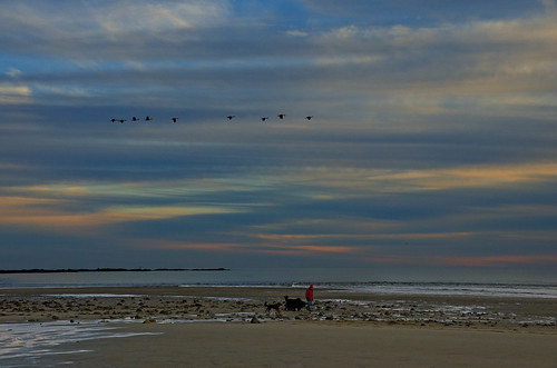 ocean winter sunset sky seascape color beach clouds geese atlantic seashore kennebunk parsonsbeach