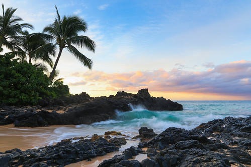 ocean morning trees light beach sunrise hawaii sand paradise surf waves pacific secretbeach maui palm tropical kihei wailea makena secretcove paako canon6d pwlandscape