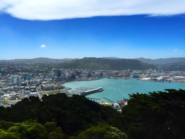 Wellington from the Mount Victoria lookout