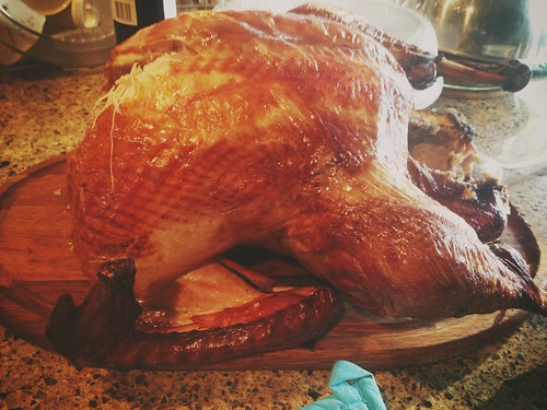 gorgeous turkey