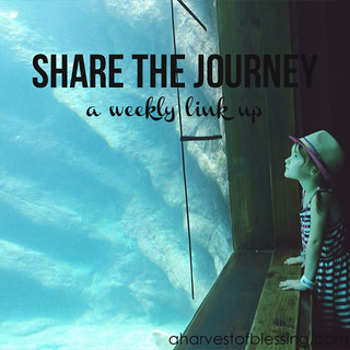 A Harvest of Blessing - Share the Journey Link Up