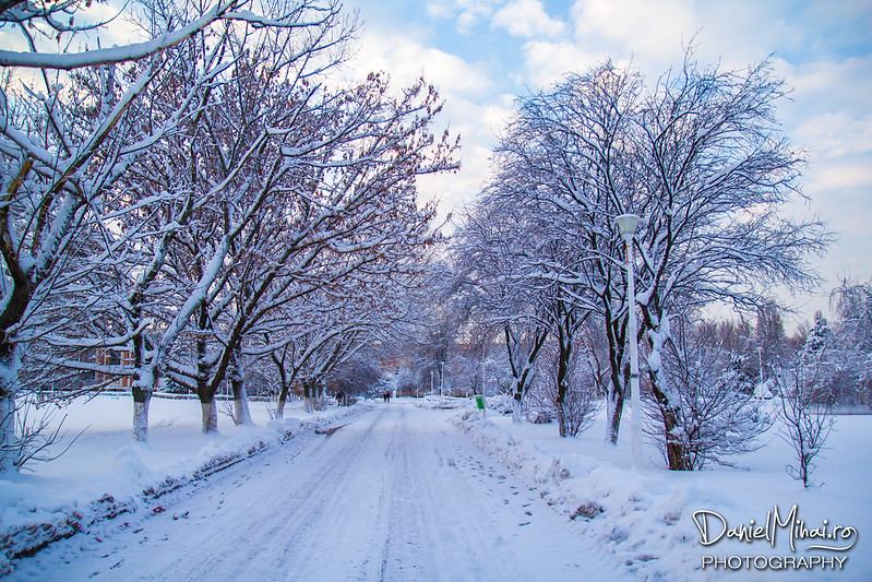 Winter road by Daniel Mihai