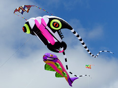 Streets Kite Day. Christchurch.NZ