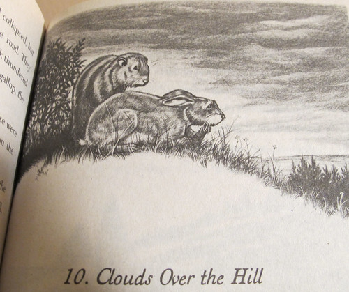 Rabbit Hill by Robert Lawson