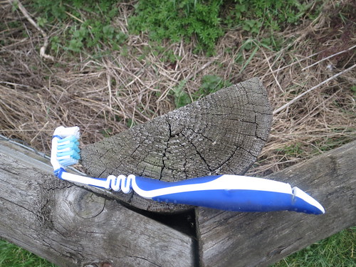 Toothbrush cache