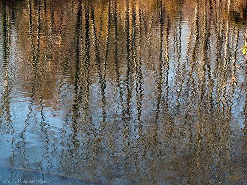 autumn trees lake fall water canon reflections newjersey pond powershot mahwah g12 smack53