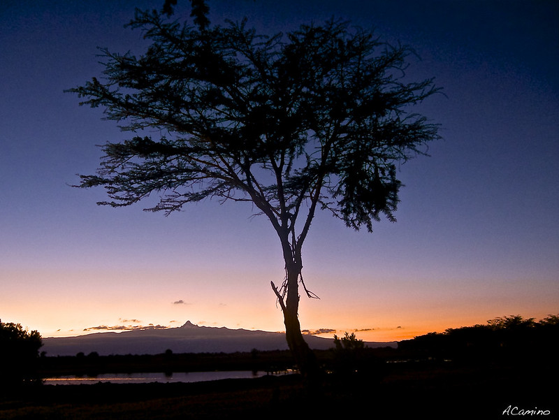 De Monte Kenia al Kilimanjaro. Un viaje agotador de 12 horas. - 12 días de Safari en Kenia: Jambo bwana (3)