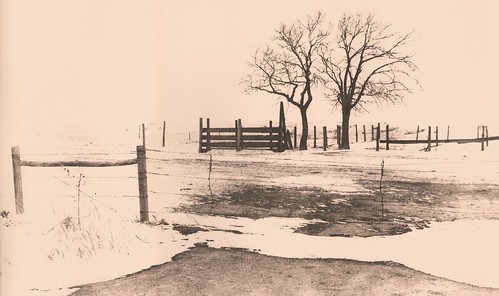 winter blackandwhite snow cold film fence nebraska pentax k1000 ne pasture neb lith bleak 13 bertrand smithfield smc nebr microdol arista kodabrome gosper legacypro