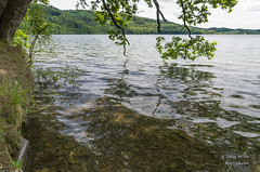 Laacher See Ufer (1)