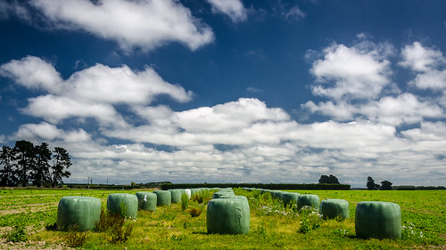 newzealand sky cloud nature grass outdoor southisland haybale lochiel