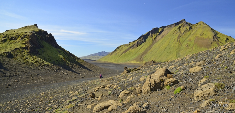 ISLANDIA, NATURALEZA EN TODO SU ESPLENDOR - Blogs de Islandia - 3ª etapa del Trekking: ALFTAVATN - EMSTRUR (15 km) (28)