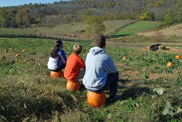 So don't just sit there, make your plans to visit a Virginia State Park soon! Image from Sky Meadows State Park Fall Festival