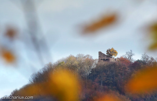 autumn germany landscape landscapes nikon landschaft siebengebirge landscapephotography nikon1 nikon1v3