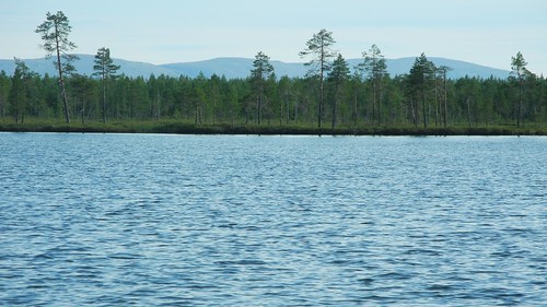 summer lake forest finland landscape geotagged july lapland fin pep lappi 2014 pyhätunturi kemijärvi 201407 20140723 javarus geo:lon=2691677218 vähäliittolampi javaruksentie geo:lat=6692193280