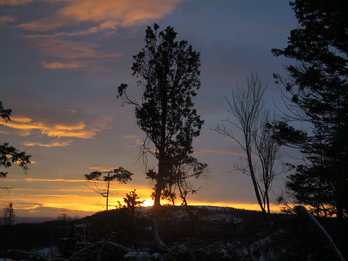 img1856 norge norway stadsbygd einer juniper sunset solnedgang sooc