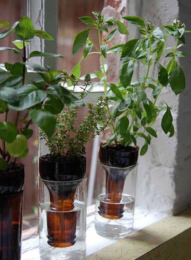 Make A Perfect Home Decor With These 15 Extraordinary Indoor Gardens