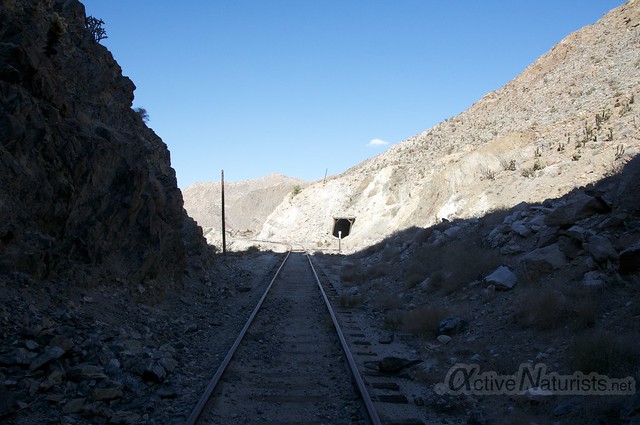 view 0020 DeAnza railroad trail, California, USA