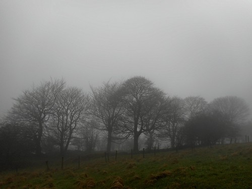 trees mist weather clouds landscape belfast cavehill belfastcitycouncil belfastparks belfastphotography