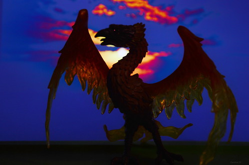 sunset phoenix silhouette toy nikond3200 flickrfriday 18140mm