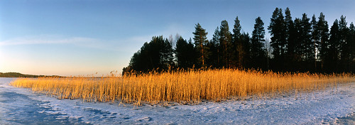 camera winter film reed finland slide panoramic horizon202 laje jaala karijarvi