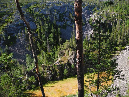 summer sol forest finland landscape geotagged nationalpark july lapland fin lappi 2014 pyhätunturi pelkosenniemi 201407 pyhäluostonationalpark uhriharju 20140725 karhukuru geo:lat=6702073445 geo:lon=2718360902