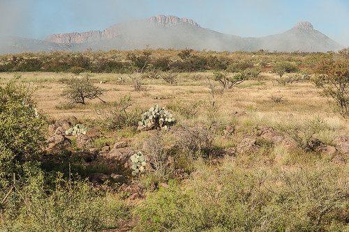 arizona usa unitedstates desert unitedstatesofamerica désert etatsunis