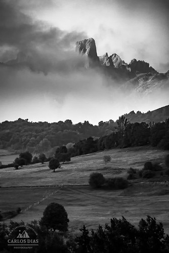 bw mountain mountains nature vertical fog clouds landscape nationalpark spain peak asturias poo picu picosdeeuropa matinal cabrales urriellu naranjodebulnes