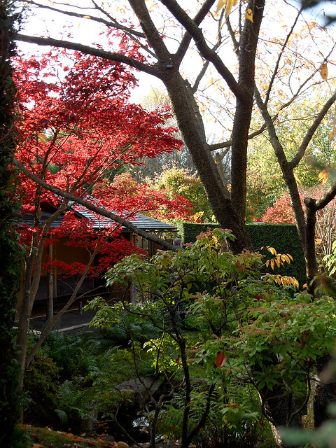 Gärten der Welt - Japanischer Garten