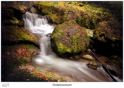 longexposure autumn green nature water forest canon river season landscape eos schweiz switzerland europe ngc canyon lonelyplanet dslr nationalgeographic fantasticnature cholerenschlucht cantonberne