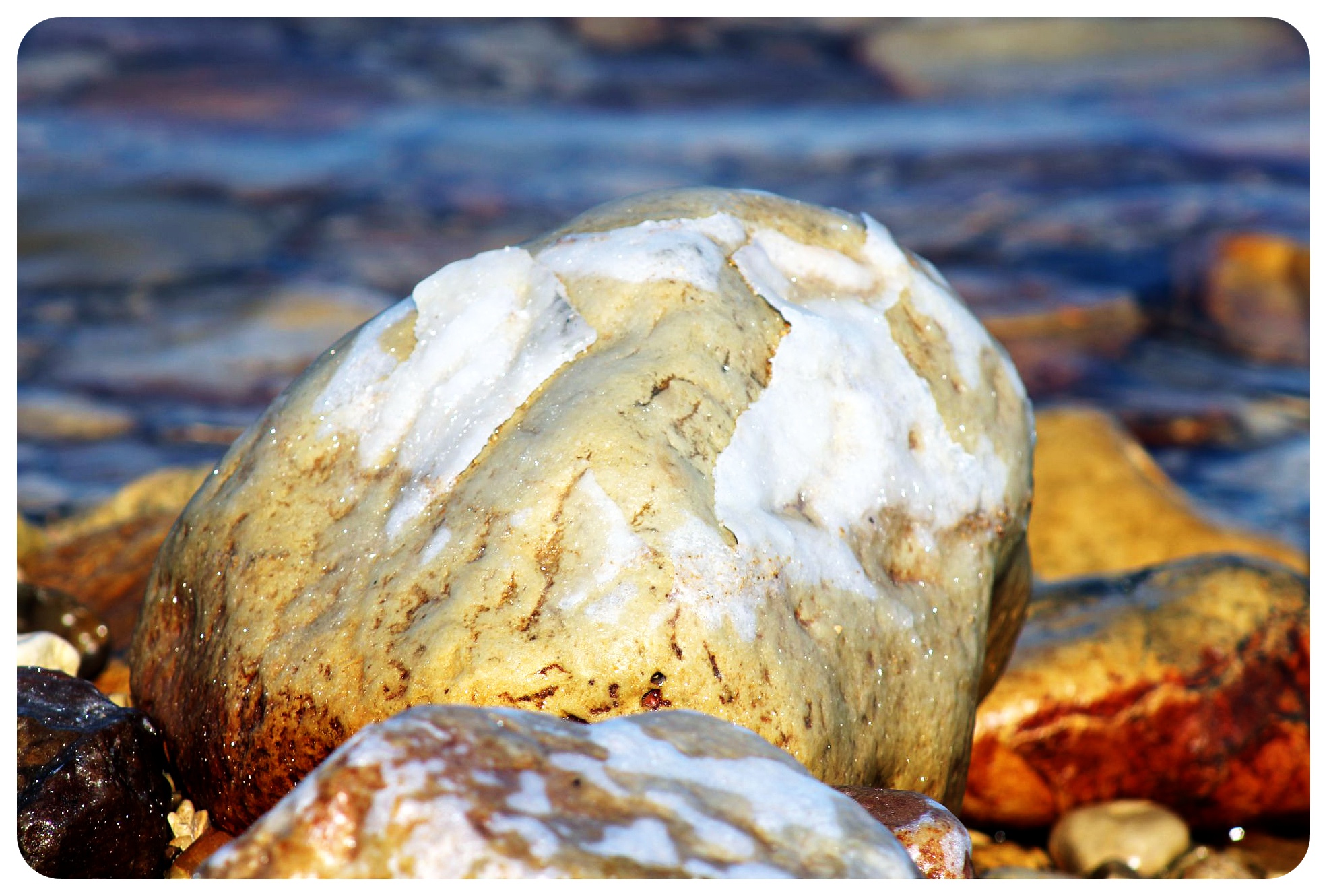 dead sea rock with salt