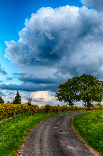 autumn france automne landscape cloudy paysage charente nuageux poitoucharentes verrieres16