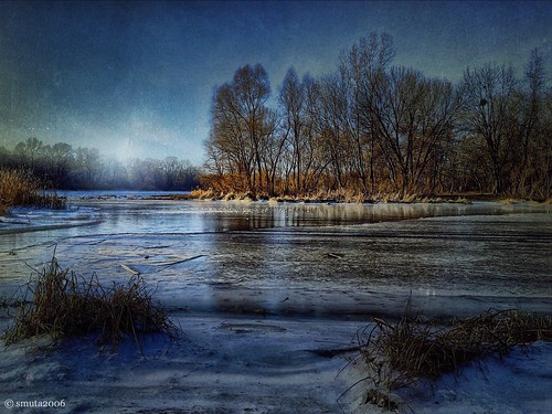 wood winter sky snow cold reflection tree ice beach apple reed nature water weather cane clouds creek river landscape island bush woods scenery europe frost wind grove lawn bank ground ukraine calm rush twig riverfront shrub coldweather kiev kyiv footprint tranquil hdr footstep backwater floe waterscape iphone copse dnieper dnipro iphoneography instagramhub igukraine uaiphoneography hubhdp igerskiev