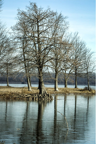 winter rural river landscape illinois unitedstates il wetlands astoria campground andersonlake