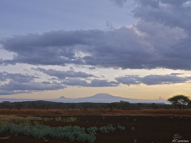 De Monte Kenia al Kilimanjaro. Un viaje agotador de 12 horas. - 12 días de Safari en Kenia: Jambo bwana (31)