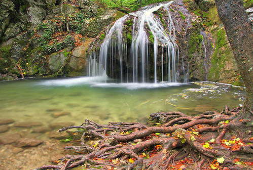 trees summer nature water forest landscape waterfall russia roots ukraine crimea beech