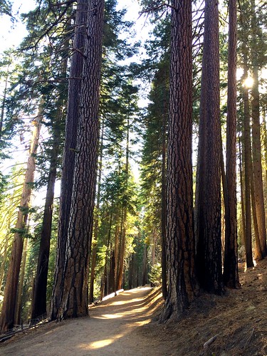 california nationalpark yosemite
