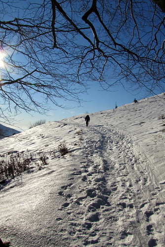 winter snow field landscape hiking land táj tájkép hó mező tél túra canonpowershotsx20is gutinhegység munţiigutâi ökörmező munţiigutin câmpulboului oxfield
