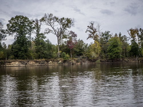 Savannah River from Stokes Bluff with LCU Nov 7, 2014, 4-18 PM Nov 8, 2014, 9-056