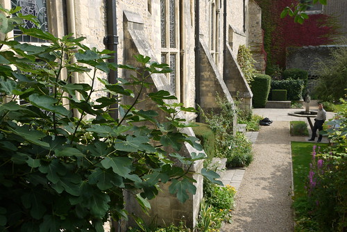 Queen Eleanor's Garden
